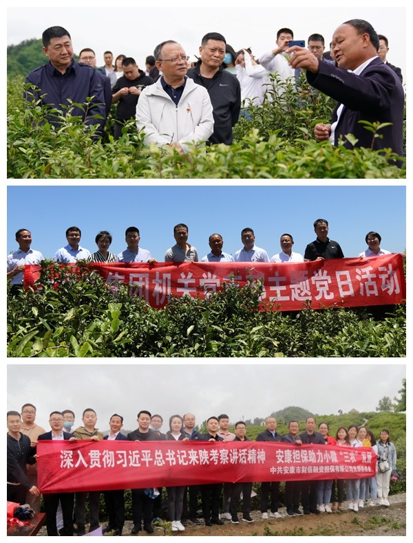 一品探花
党委开展系列活动 庆祝建党99周年